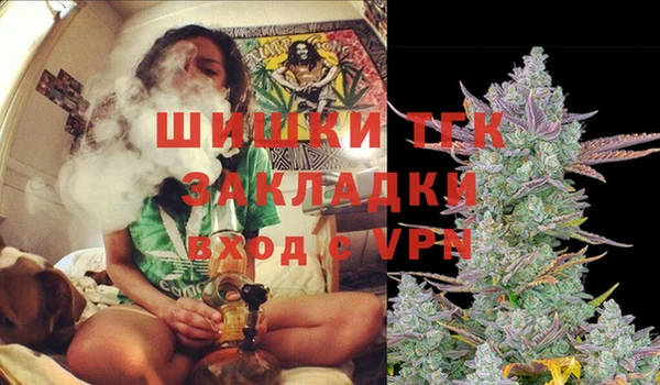 мяу мяу мука Лабытнанги