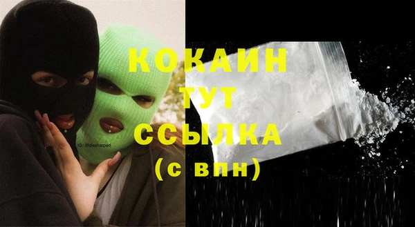 дживик Кулебаки