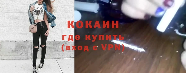 дживик Кулебаки