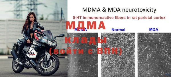 шишки Кукмор