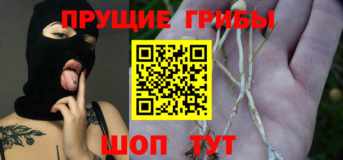 Кунгур  Галлюциногенные грибы ЛСД  Псилоцибиновые грибы Psilocybe  Вход с VPN 